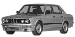 BMW E28 P041D Fault Code