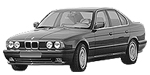 BMW E34 P041D Fault Code